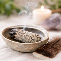 Introductie